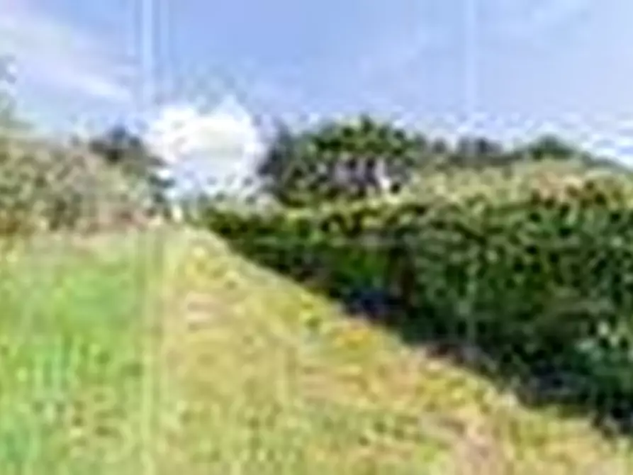 Immagine 12 di Appartamento in affitto  in Via Monte Del Gatto a Roma