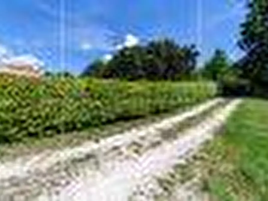 Immagine 13 di Appartamento in affitto  in Via Monte Del Gatto a Roma