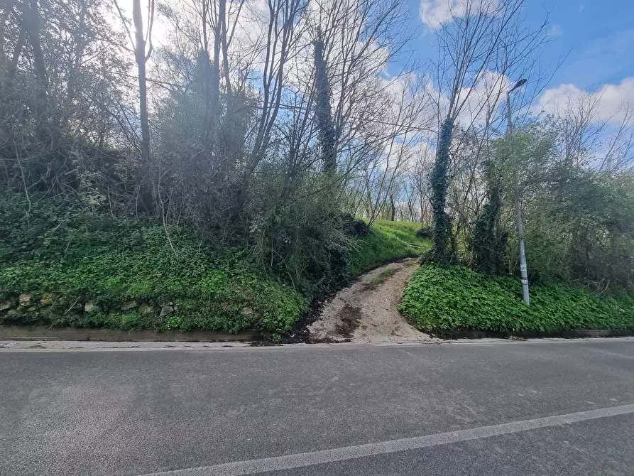 Immagine 1 di Terreno agricolo in vendita  in via Delle donne a Cesinali