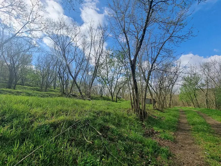 Immagine 3 di Terreno agricolo in vendita  in via Delle donne a Cesinali