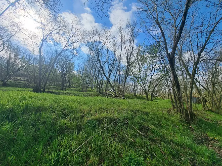 Immagine 5 di Terreno agricolo in vendita  in via Delle donne a Cesinali