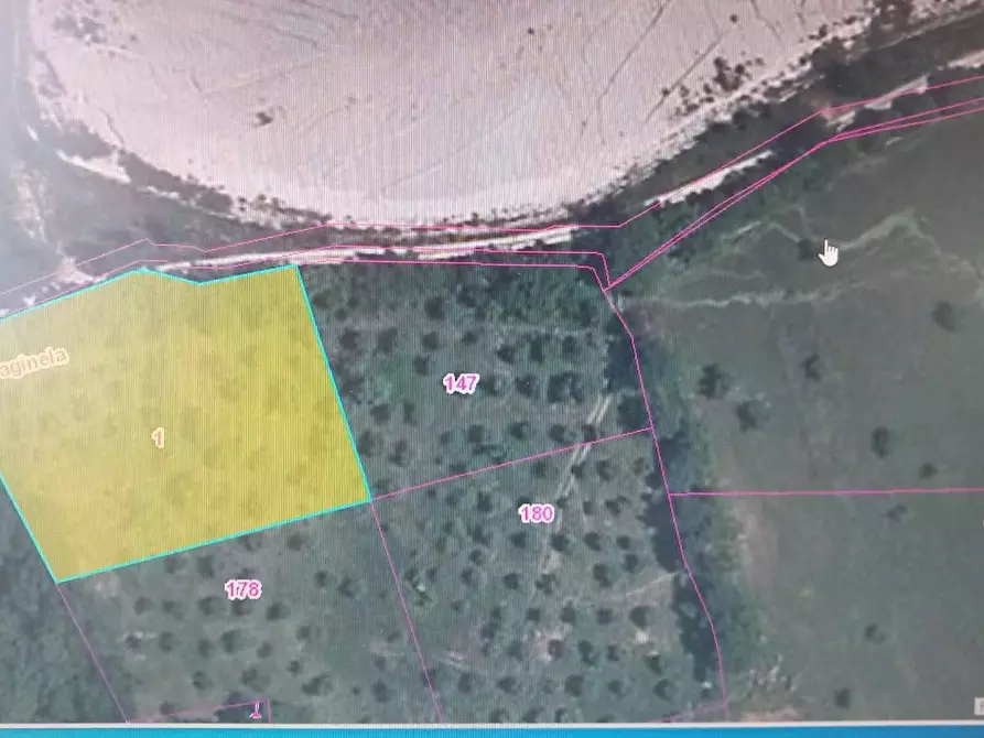 Immagine 3 di Terreno agricolo in vendita  in Contrada Fontana della Noce a Serre