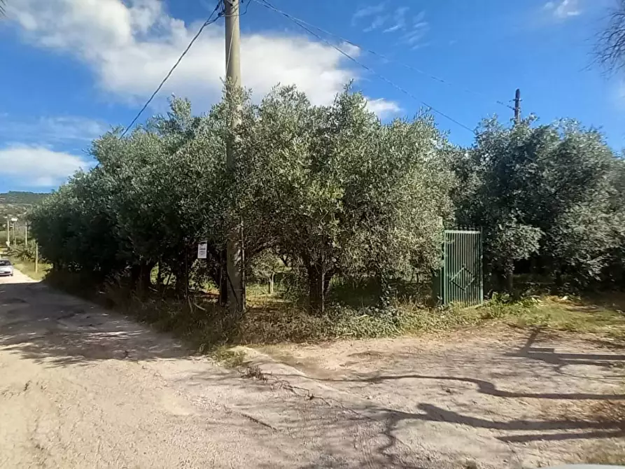 Immagine 1 di Terreno agricolo in vendita  in Via G. Scocozza a Eboli