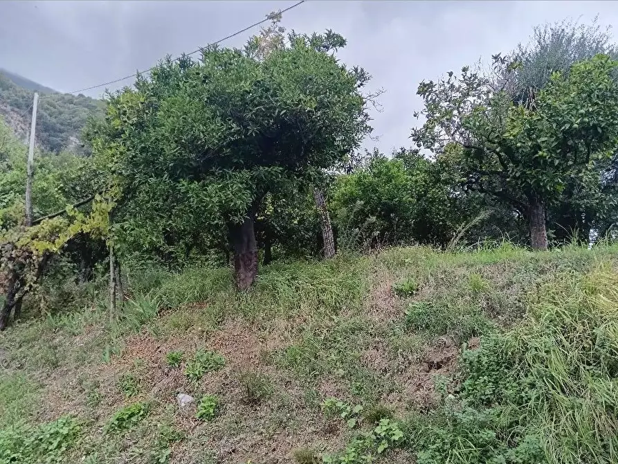 Immagine 1 di Terreno agricolo in vendita  in VIA MONTALBINO a Nocera Inferiore