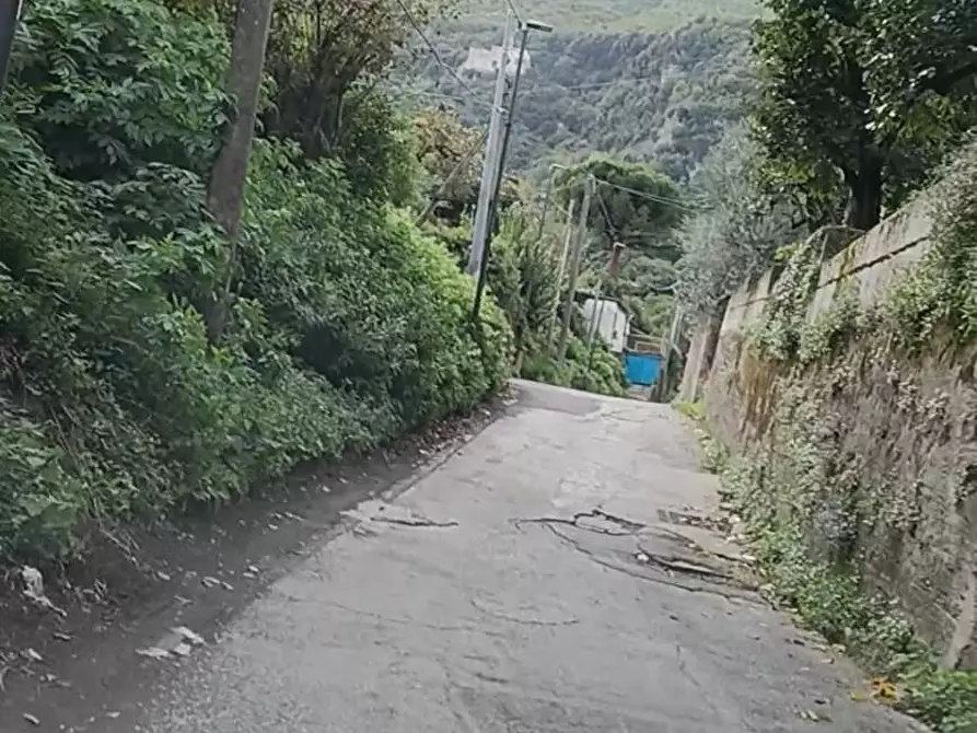 Immagine 3 di Terreno agricolo in vendita  in VIA MONTALBINO a Nocera Inferiore