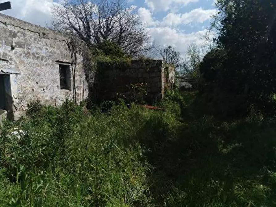 Immagine 3 di Terreno agricolo in vendita  in SAN MAURO a Nocera Inferiore