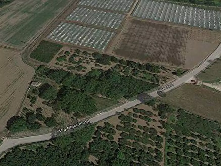 Immagine 3 di Terreno agricolo in vendita  in VIA MACCHIONI a Nocera Inferiore