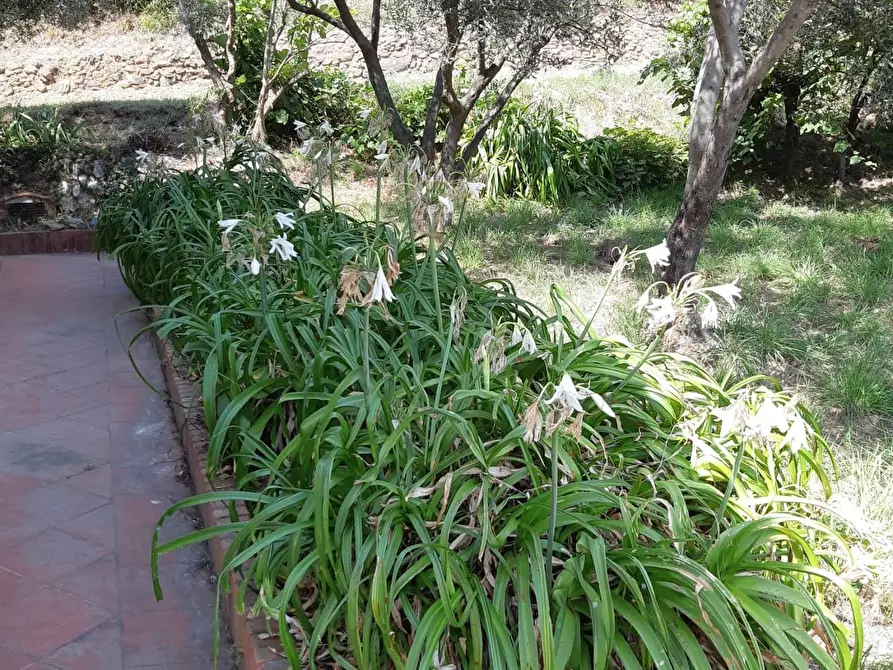 Immagine 23 di Villa in vendita  in VIA MOLINERO a Savona