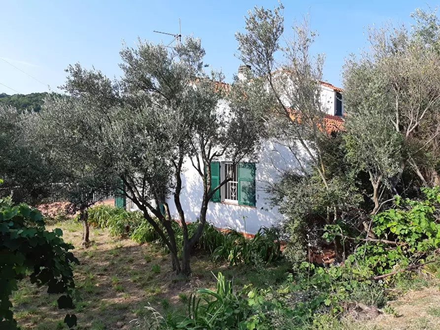 Immagine 24 di Villa in vendita  in VIA MOLINERO a Savona