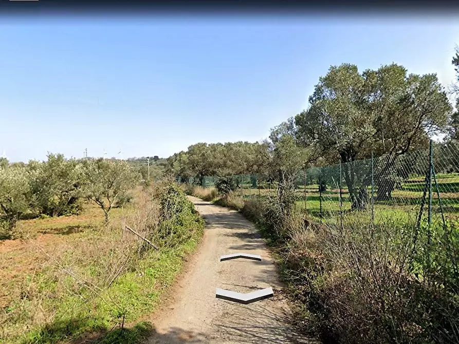 Immagine 2 di Terreno agricolo in vendita  in Contrada Fiego a Borgia