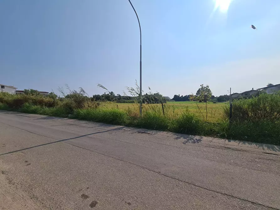 Immagine 1 di Terreno agricolo in vendita  in Viale delle mimose a Sellia Marina