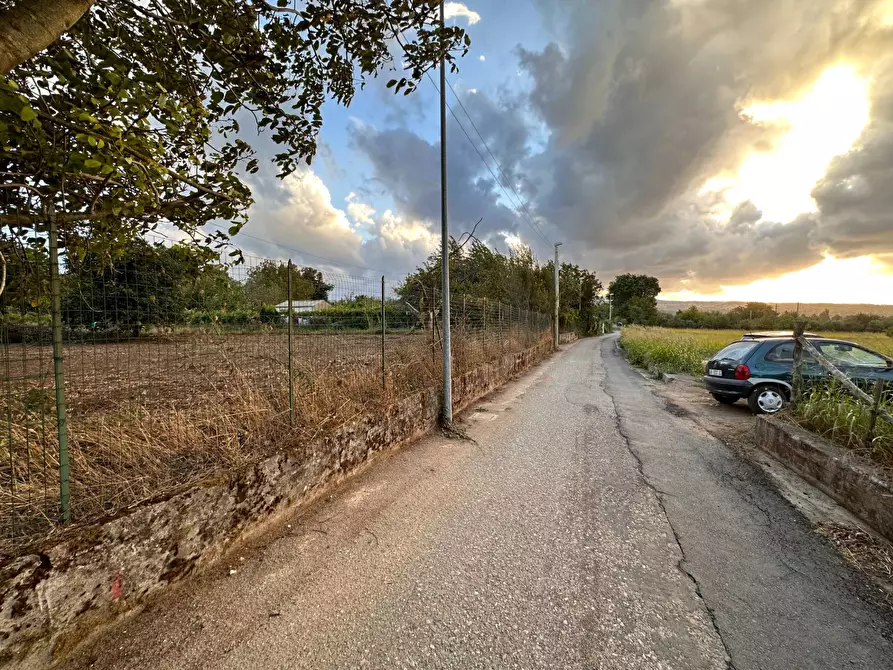 Immagine 7 di Terreno agricolo in vendita  in via San Fantino a Borgia