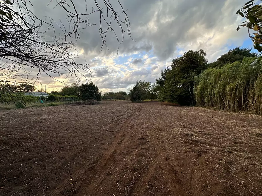 Immagine 2 di Terreno agricolo in vendita  in via San Fantino a Borgia