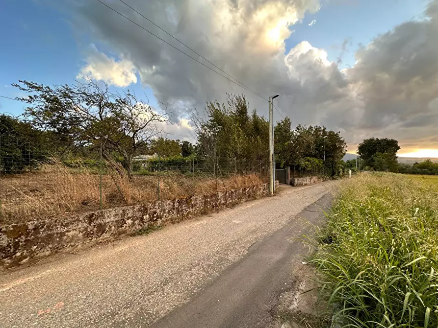 Immagine 8 di Terreno agricolo in vendita  in via San Fantino a Borgia