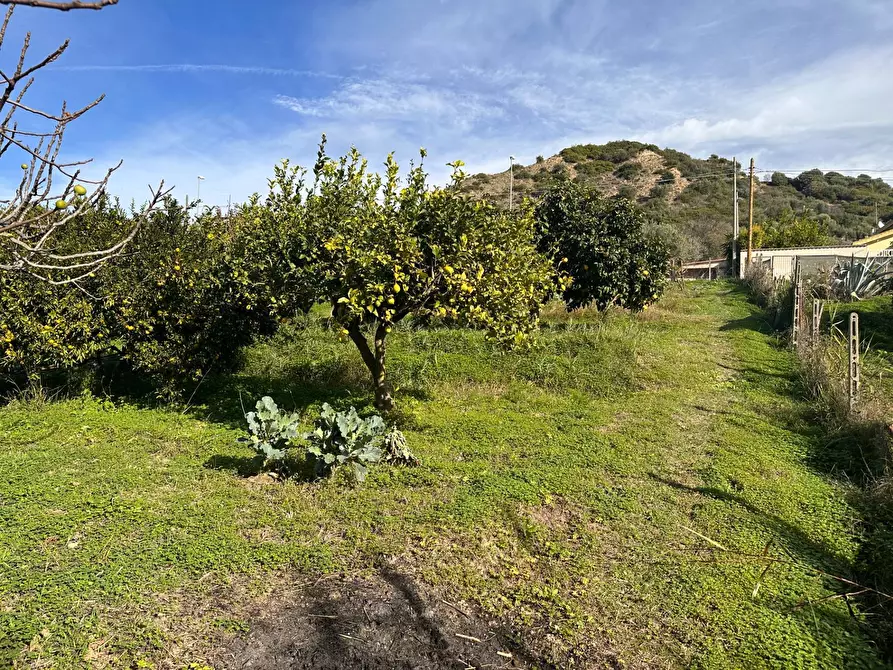 Immagine 1 di Terreno agricolo in vendita  in Via Fausto Gullo a Borgia