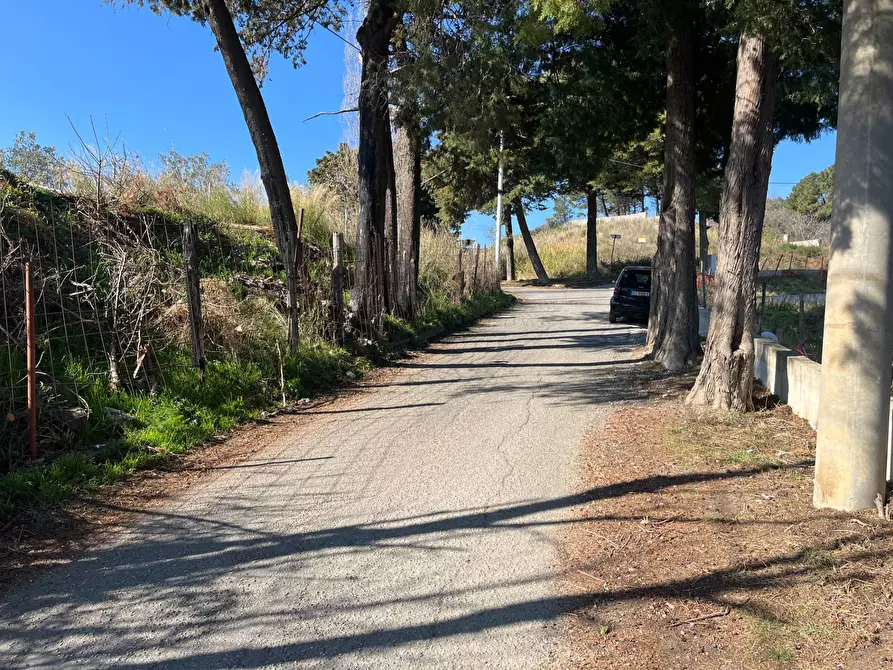 Immagine 6 di Terreno residenziale in vendita  in Via Giovanni Andrea Serrao a Catanzaro