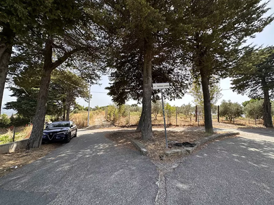 Immagine 5 di Terreno residenziale in vendita  in Via Giovanni Andrea Serrao a Catanzaro