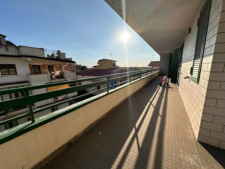 Immagine 28 di Appartamento in vendita  in Via Michelangelo Buonarroti a San Nicola La Strada