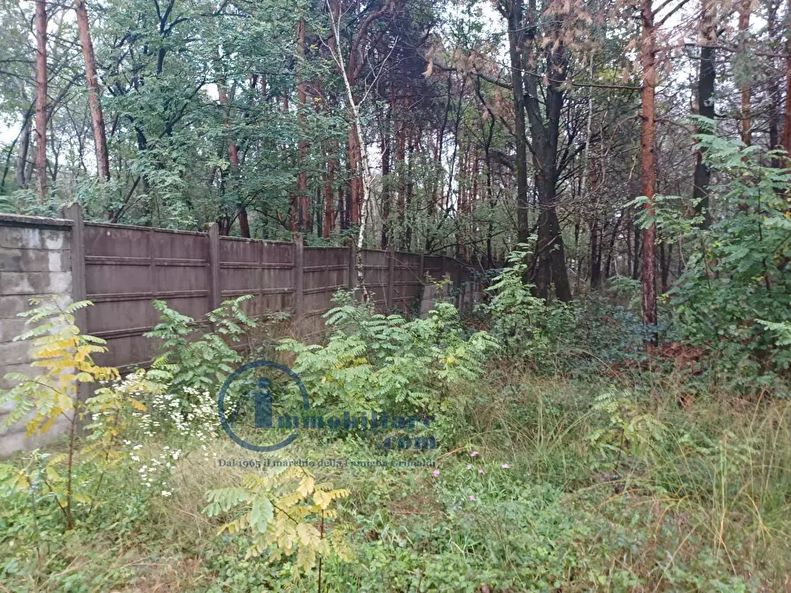 Immagine 1 di Terreno agricolo in vendita  in Via Sant'Andrea a Misinto