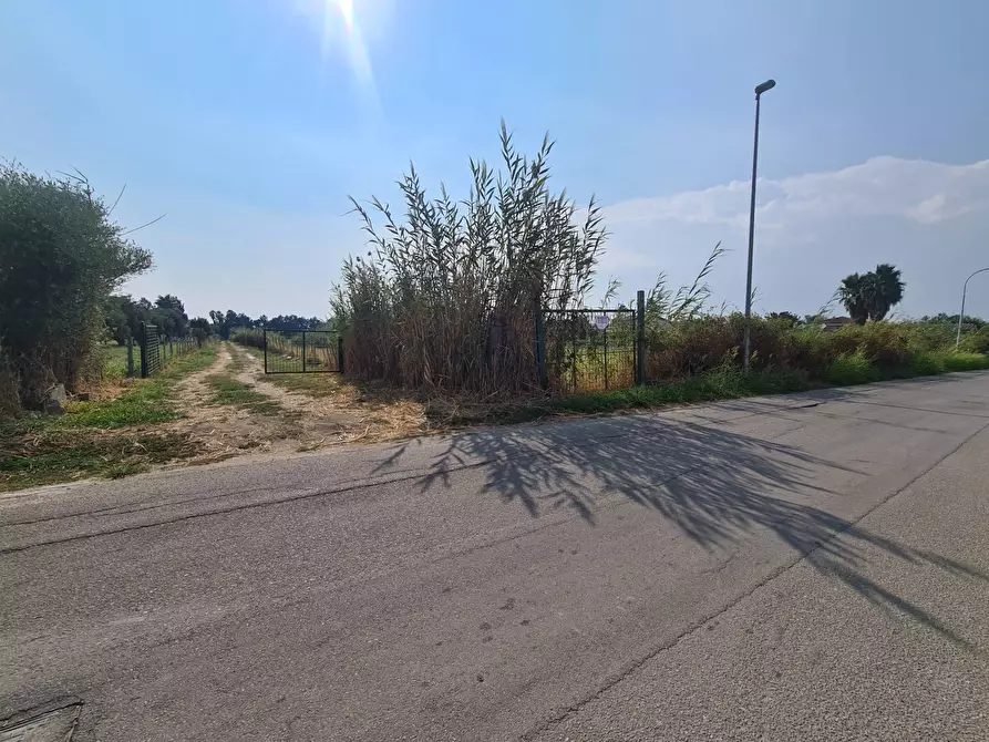 Immagine 5 di Terreno agricolo in vendita  in Viale delle mimose a Sellia Marina