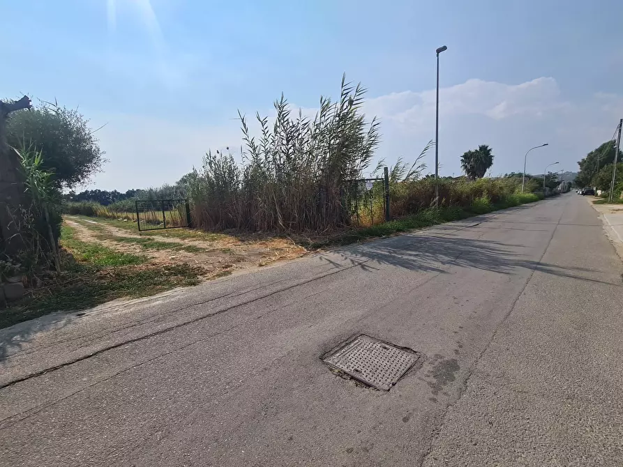 Immagine 1 di Terreno agricolo in vendita  in Viale delle mimose a Sellia Marina