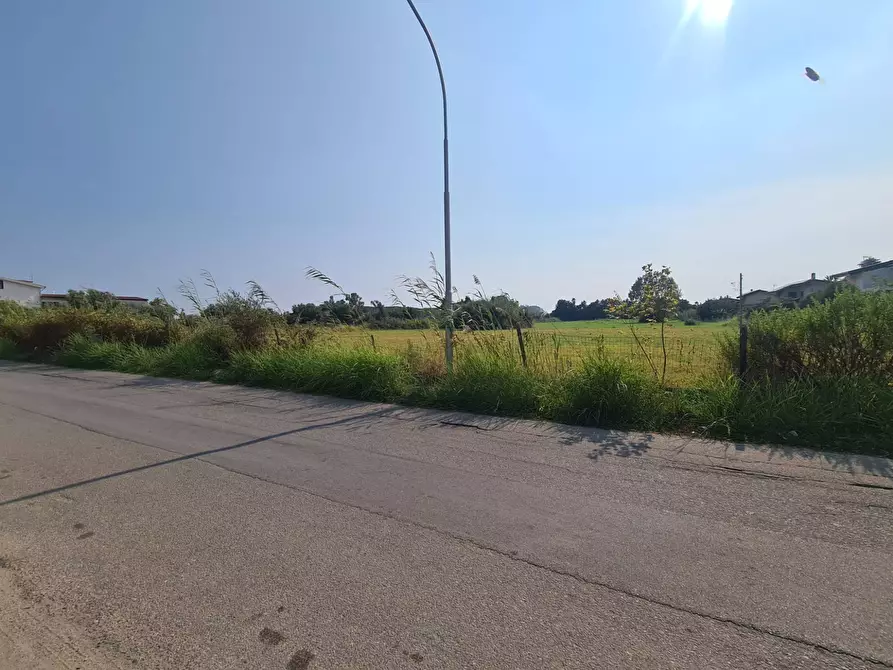 Immagine 3 di Terreno agricolo in vendita  in Viale delle mimose a Sellia Marina