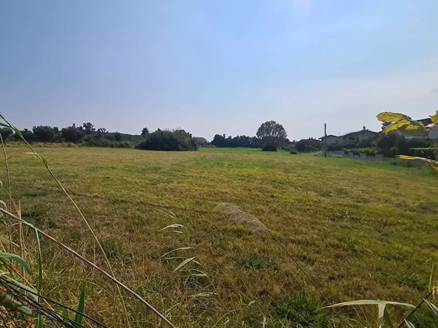 Immagine 2 di Terreno agricolo in vendita  in Viale delle mimose a Sellia Marina