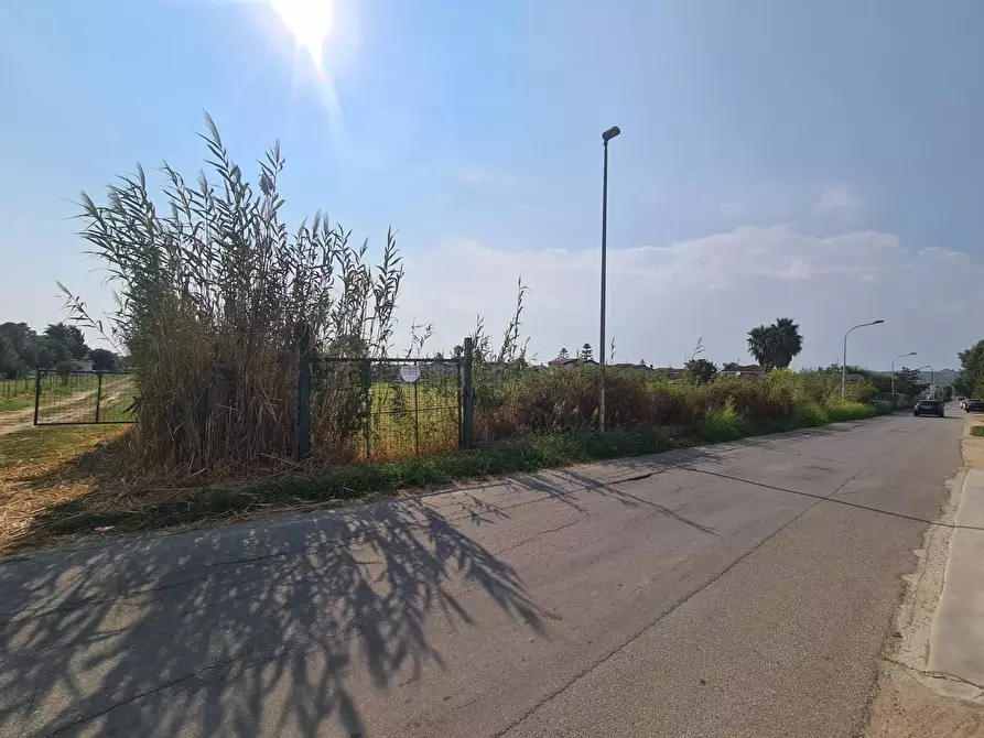 Immagine 4 di Terreno agricolo in vendita  in Viale delle mimose a Sellia Marina