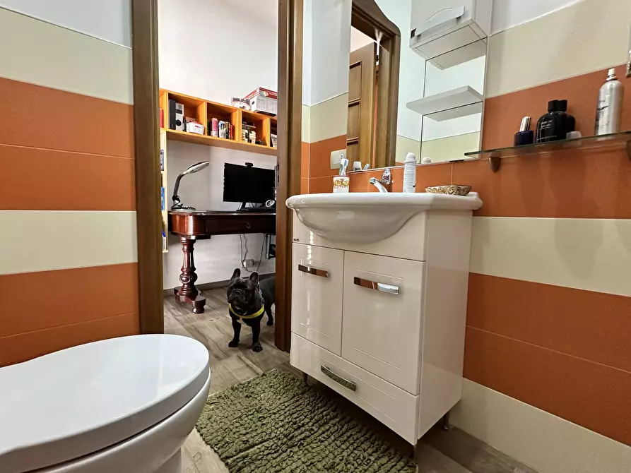 Immagine 18 di Appartamento in vendita  in Via Nuova a Catanzaro