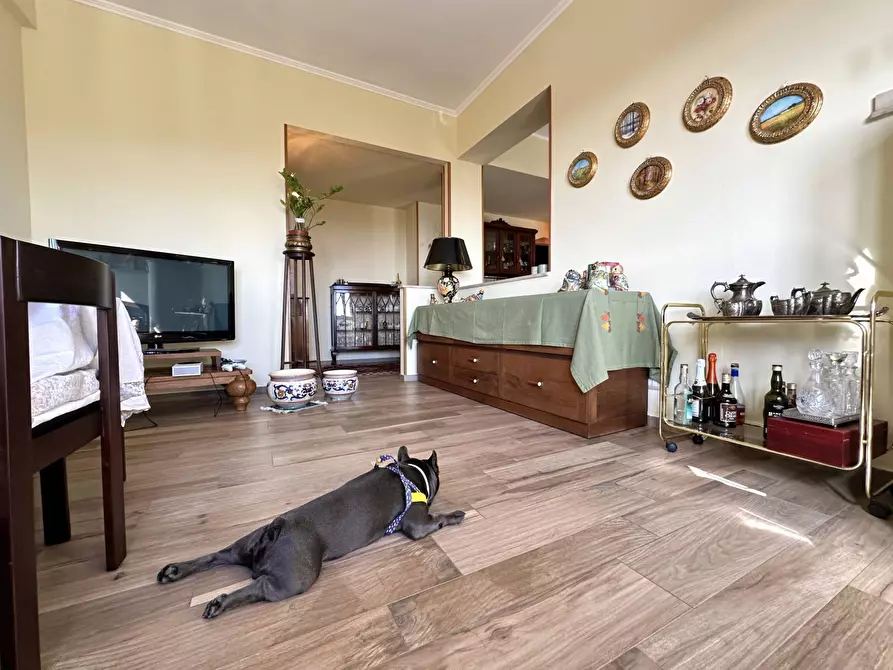 Immagine 5 di Appartamento in vendita  in Via Nuova a Catanzaro