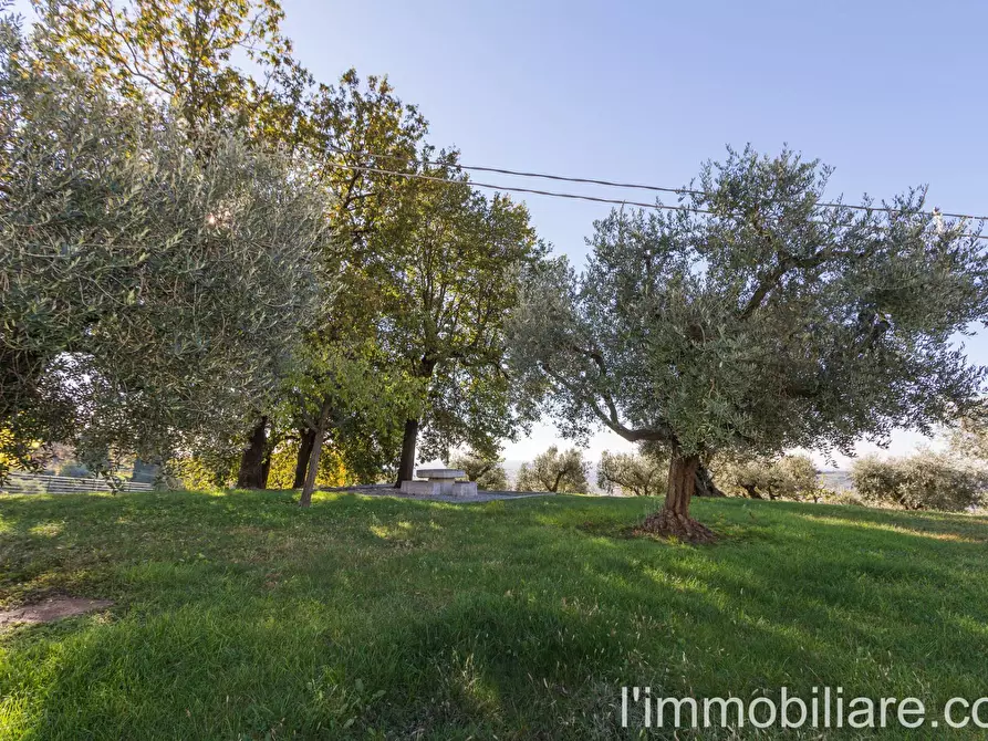Immagine 14 di Rustico / casale in vendita  in via Pradelle a Verona