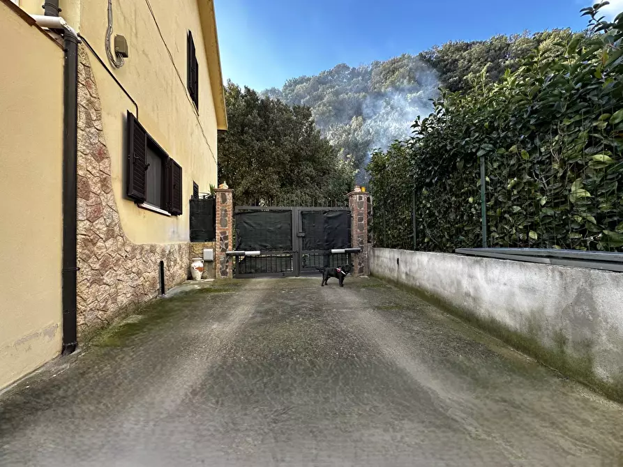 Immagine 25 di Villa in vendita  in Contrada Donnantona a Borgia