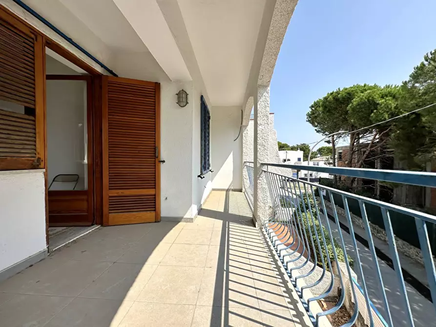 Immagine 15 di Villa in vendita  in Contrada Botterio a Montauro