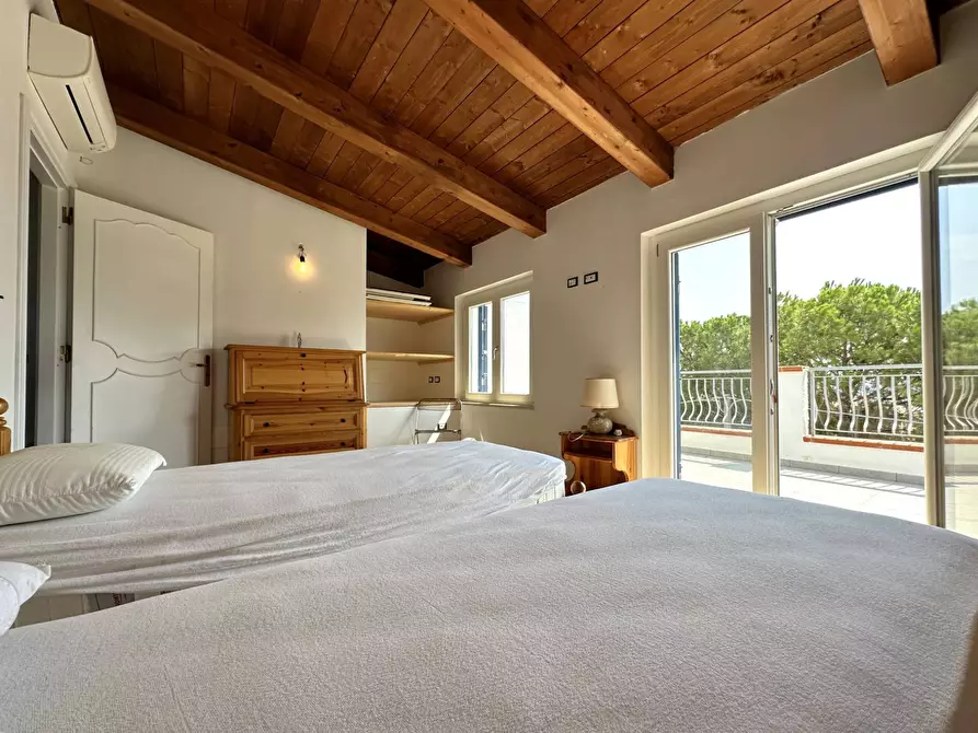 Immagine 26 di Villa in vendita  in Contrada Botterio a Montauro