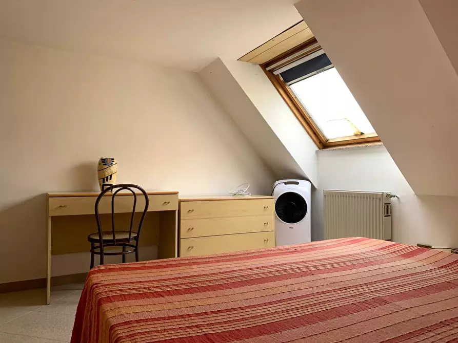 Immagine 5 di Appartamento in affitto  in via Francesco Paglia a Catanzaro