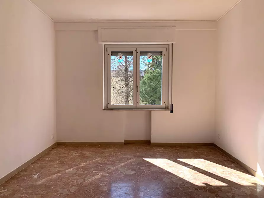 Immagine 6 di Appartamento in affitto  in via Edmondo Buccarelli a Catanzaro