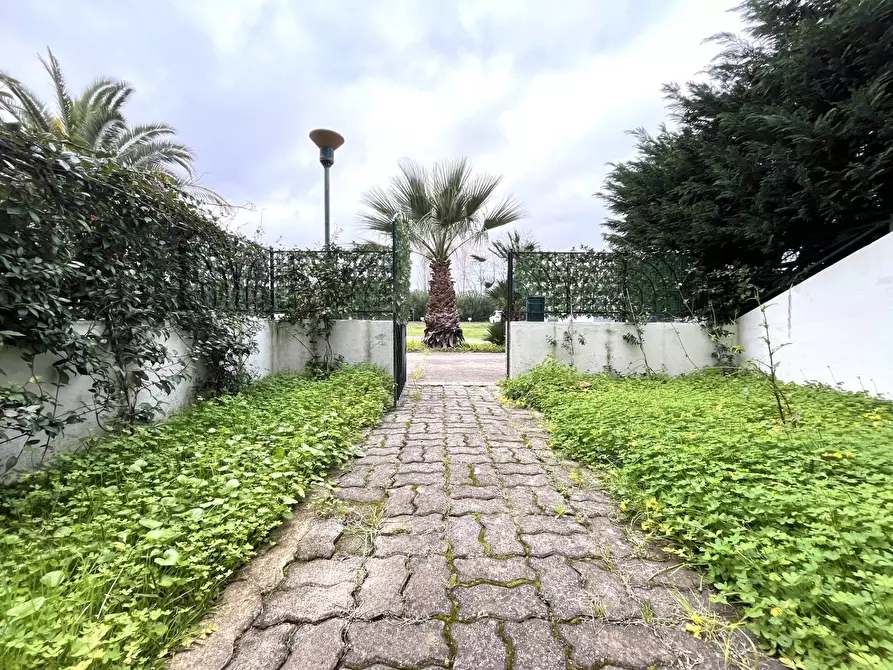 Immagine 1 di Casa indipendente in affitto  in via Maiori a Sellia Marina