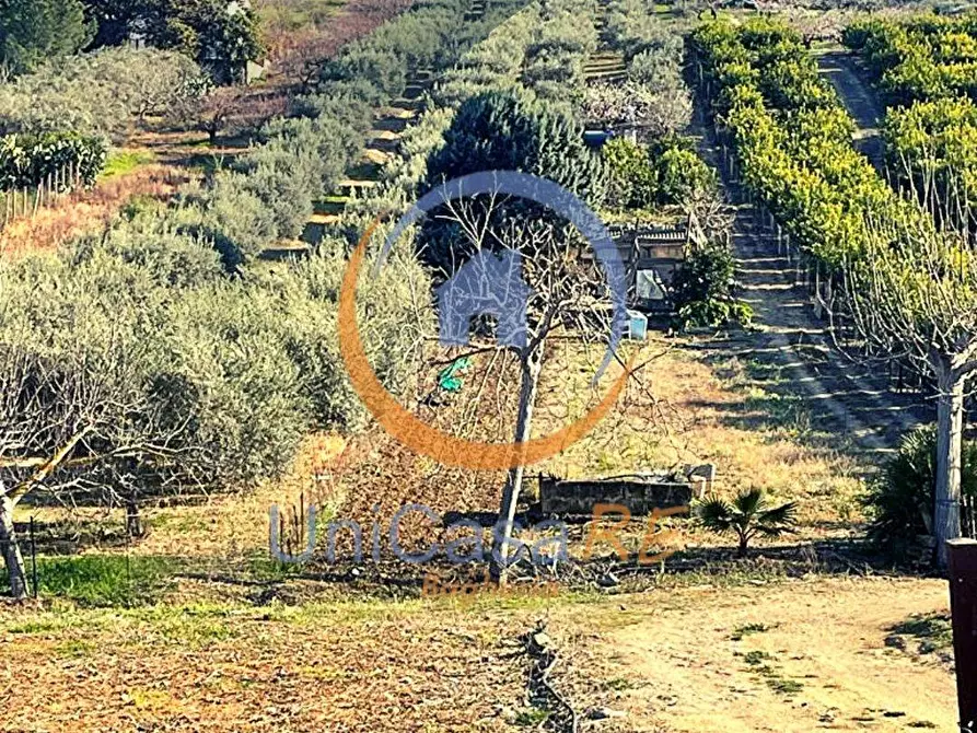 Immagine 1 di Terreno agricolo in vendita  in Contrada Accia a Santa Flavia