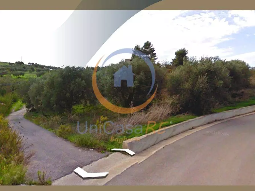 Immagine 2 di Terreno agricolo in vendita  in Via loreto lapi a Cerda