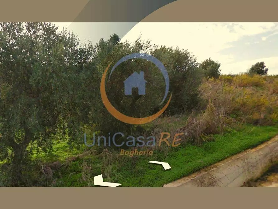 Immagine 3 di Terreno agricolo in vendita  in Via loreto lapi a Cerda