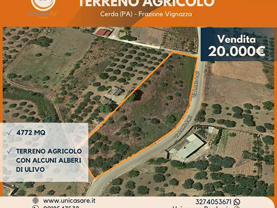Immagine 1 di Terreno agricolo in vendita  in Via loreto lapi a Cerda