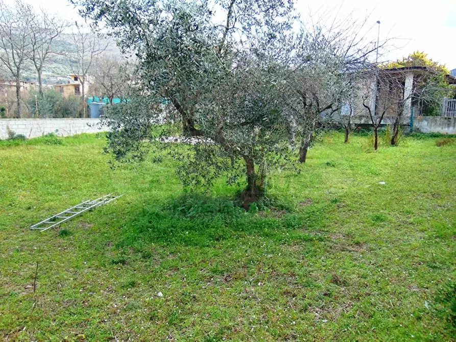 Immagine 2 di Terreno residenziale in vendita  a Mugnano Del Cardinale
