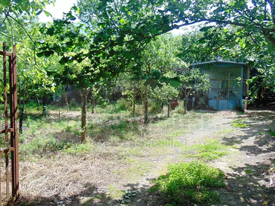 Immagine 1 di Terreno agricolo in vendita  a Baiano
