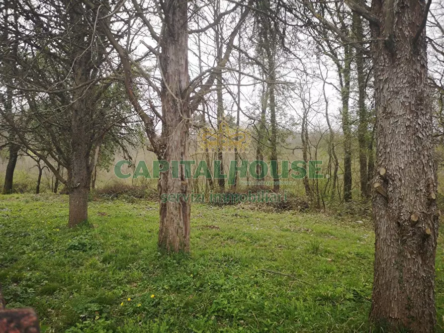 Immagine 25 di Casa indipendente in vendita  a Rocca D'evandro