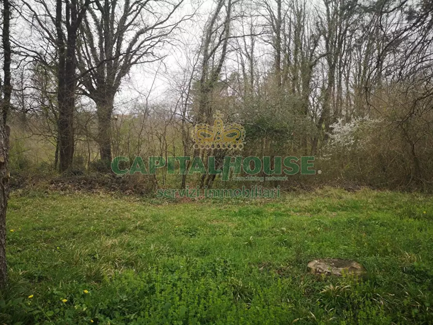 Immagine 30 di Casa indipendente in vendita  a Rocca D'evandro