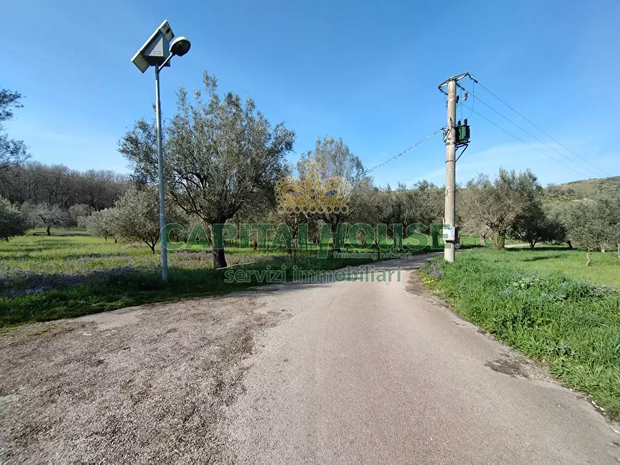 Immagine 1 di Terreno agricolo in vendita  a Giano Vetusto