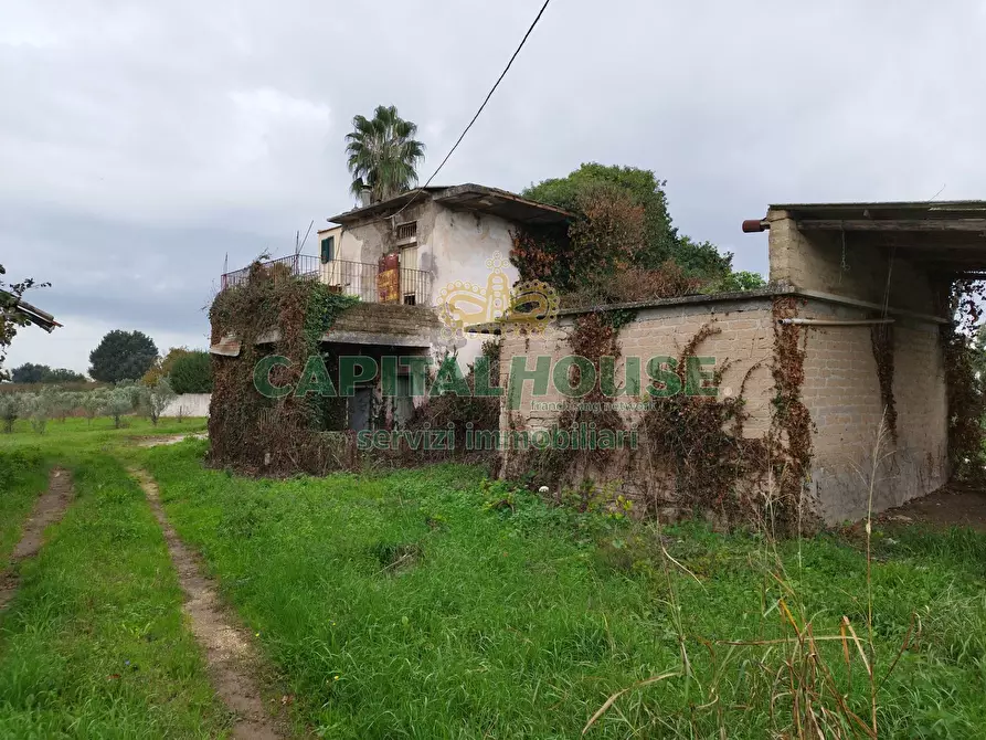 Immagine 3 di Rustico / casale in vendita  a Pignataro Maggiore