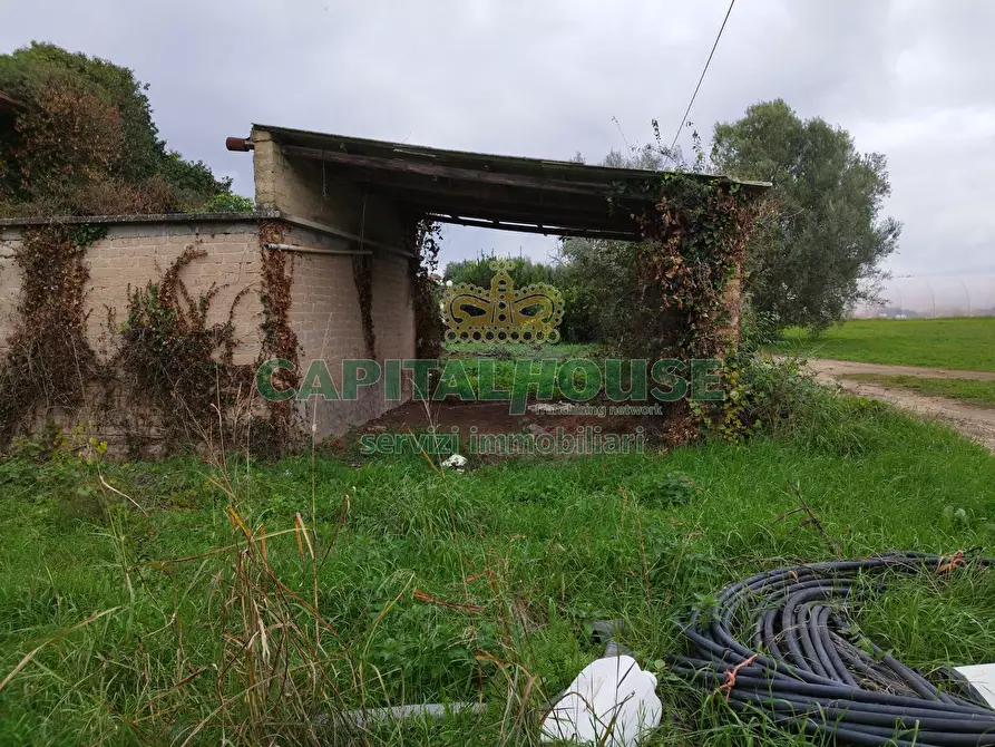 Immagine 4 di Rustico / casale in vendita  a Pignataro Maggiore