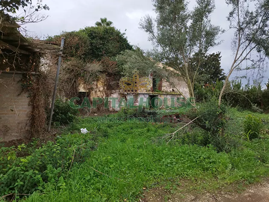 Immagine 5 di Rustico / casale in vendita  a Pignataro Maggiore