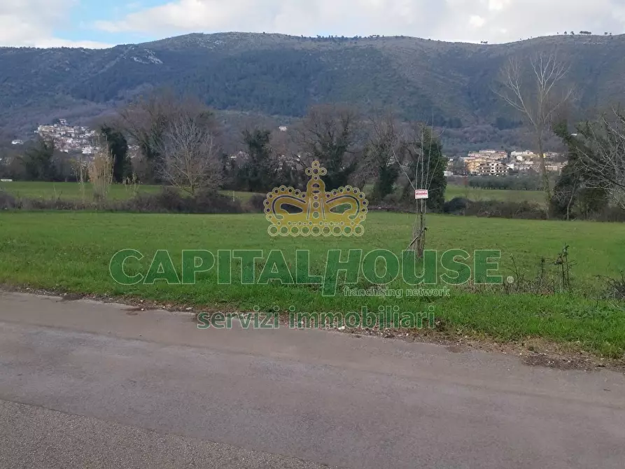 Immagine 1 di Terreno agricolo in vendita  a Giano Vetusto